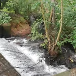 Alankulama Wana Resort