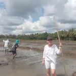 Alankulama Wana Resort