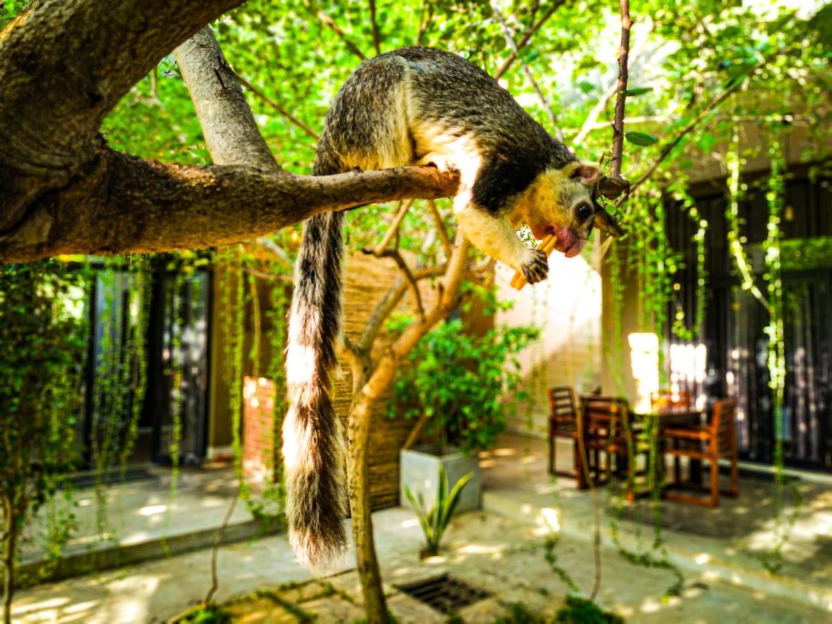 Bed & Breakfast Isi Arana Eco Anuradhapura