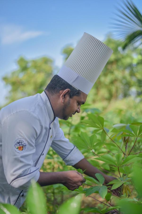 Subaseth Hotel Anuradhapura