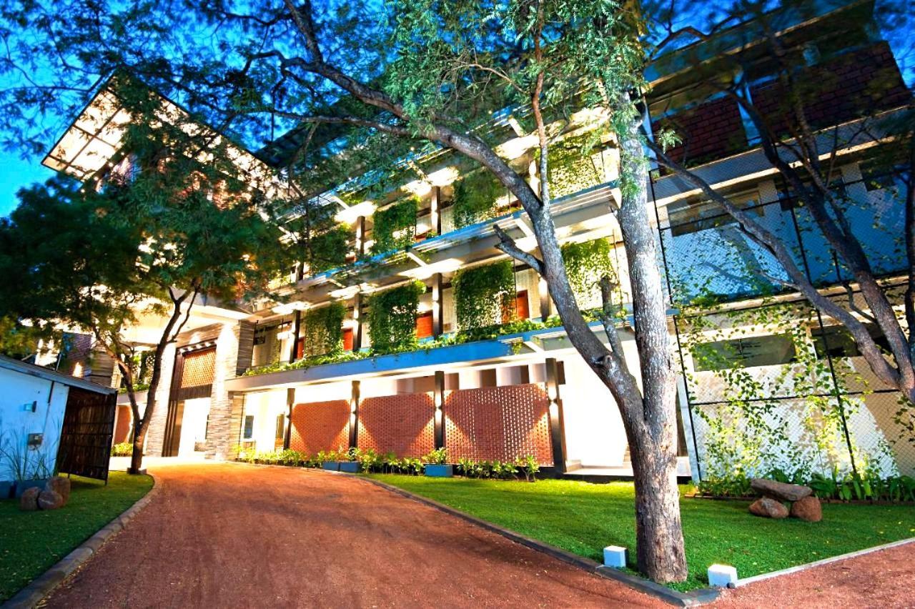 Hotel The Forest