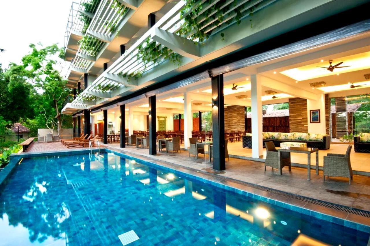 The Forest Hotel