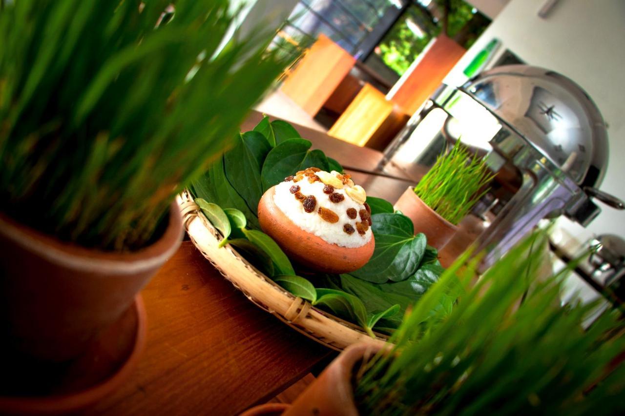The Forest 3* Anuradhapura