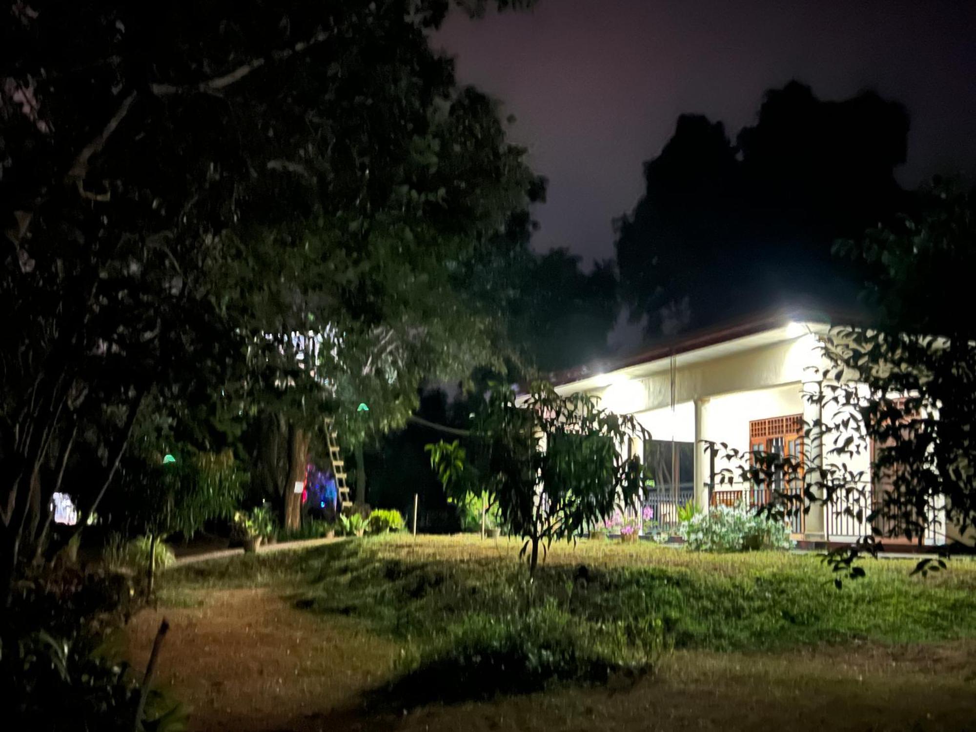 Haven * Anuradhapura