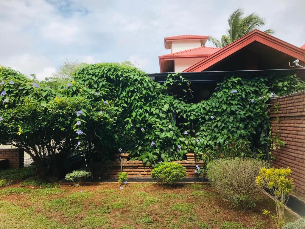 Yatinuwara Bungalow Guest house *
