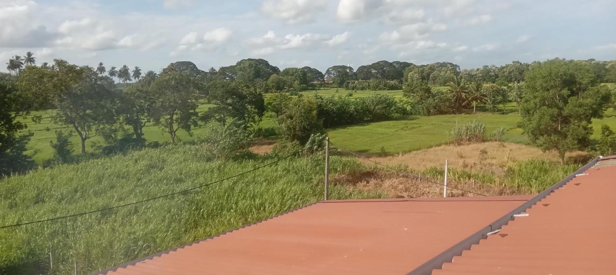 Bliss Lake, Bungalow, Thissawewa Holiday home Anuradhapura