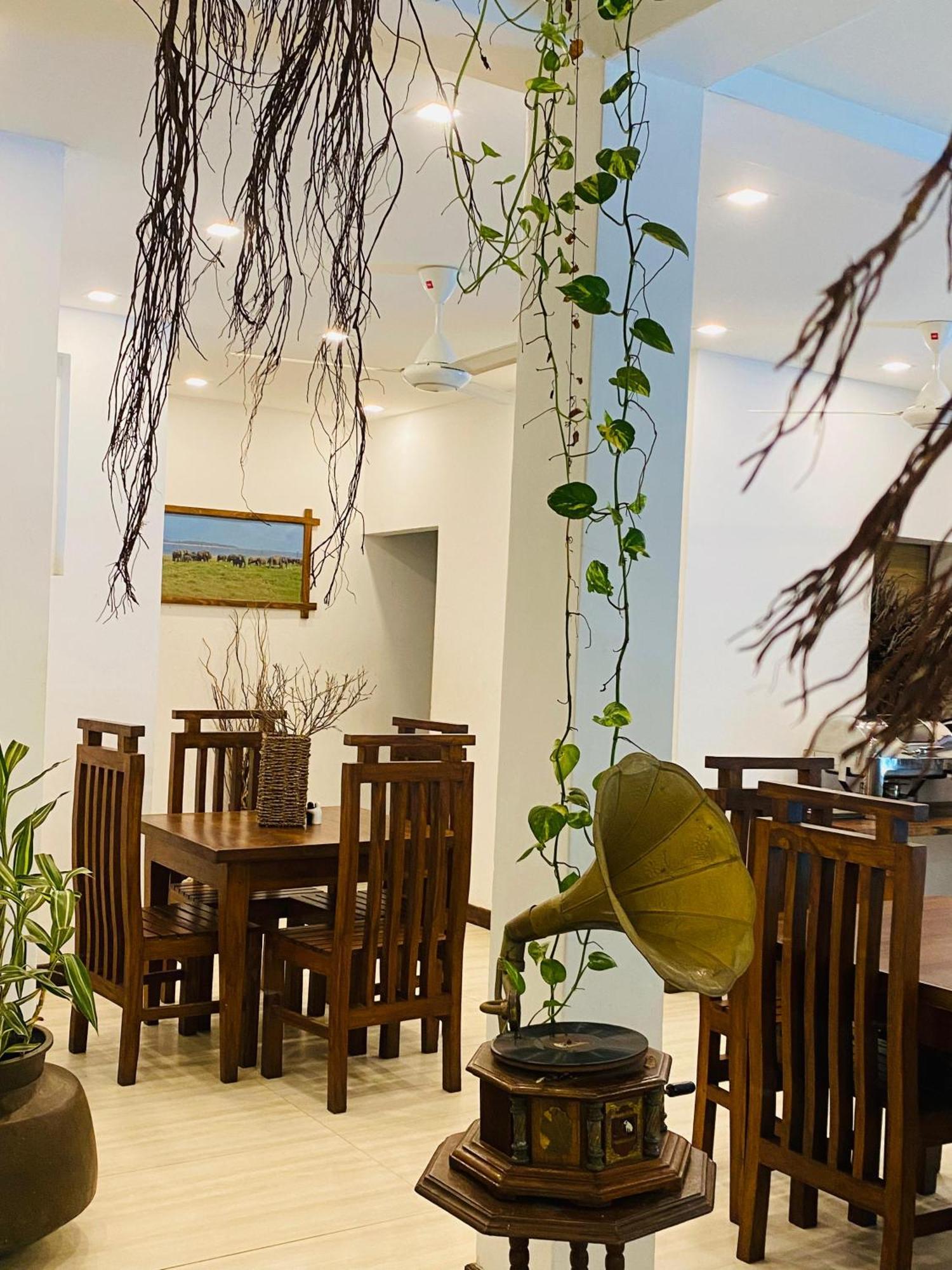 Waasala Eco Luxury Heaven