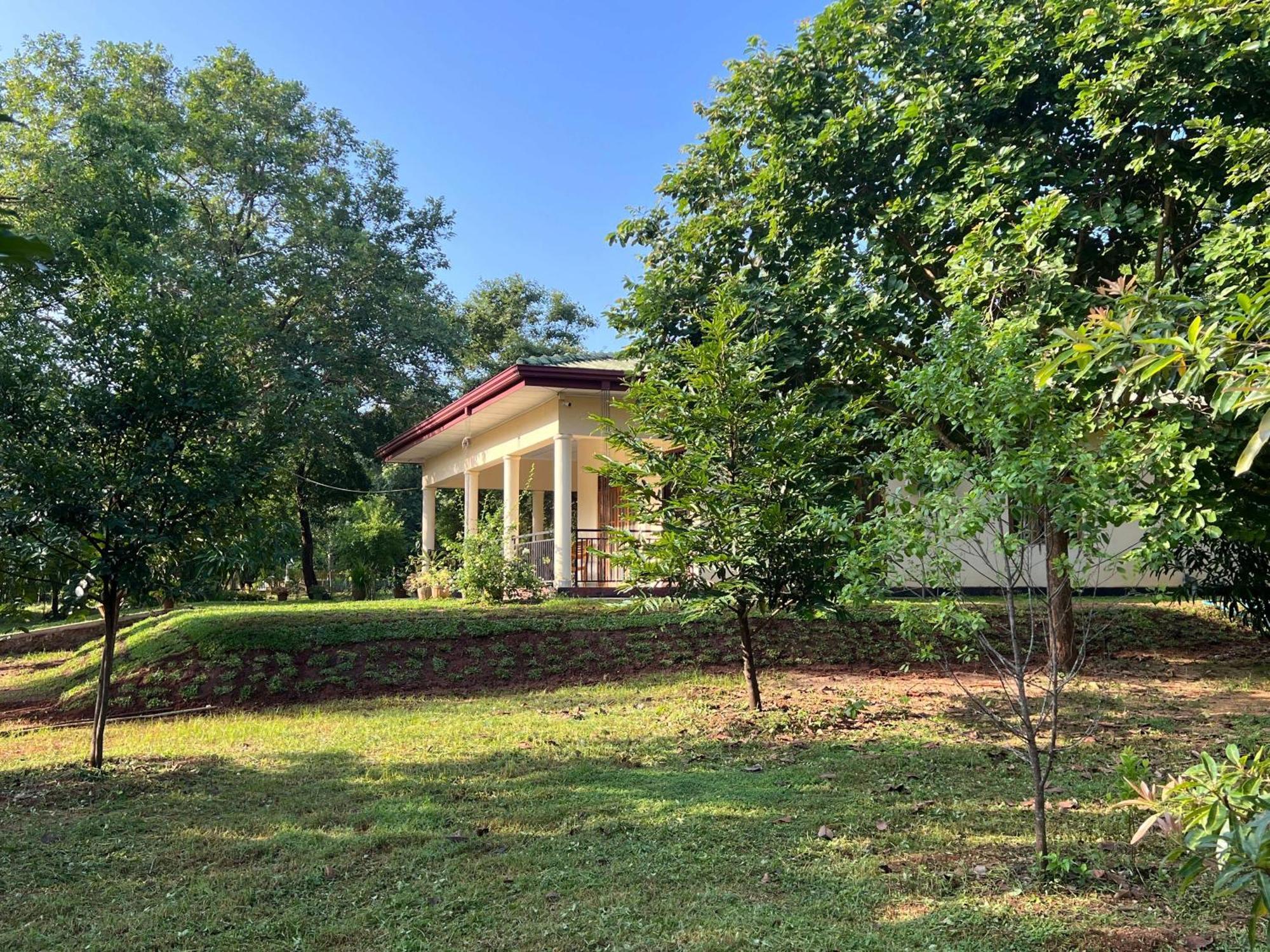 Holiday home Haven Anuradhapura