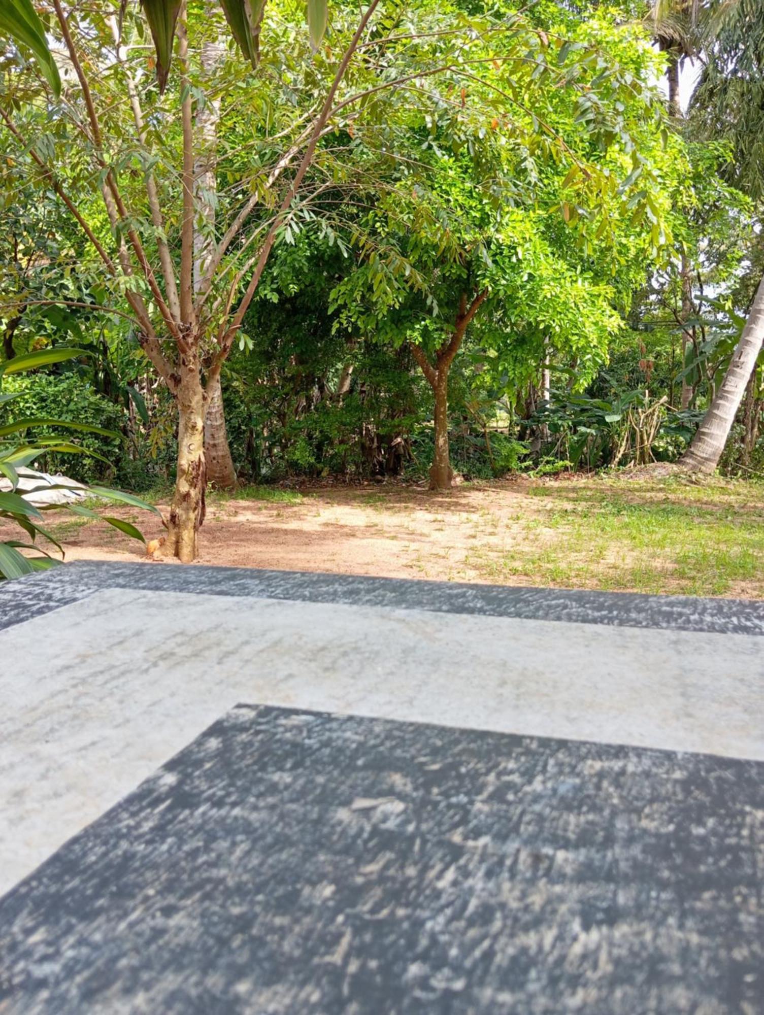 Hotel Alankulama Wana