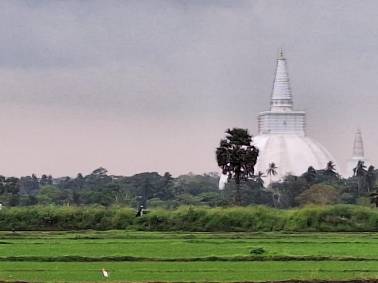 Hotel Stupas Vista Anuradhapura