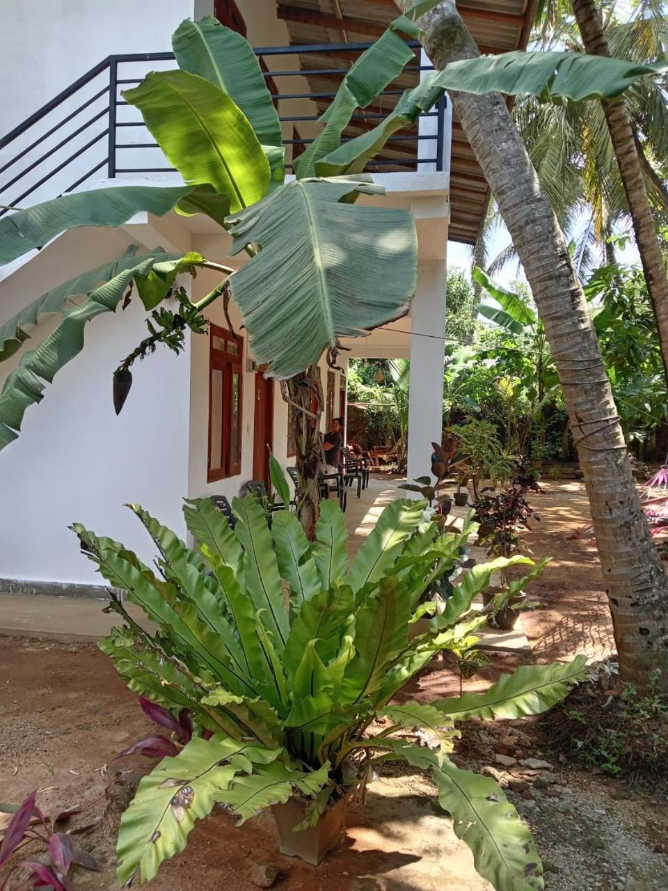 Homestay House *