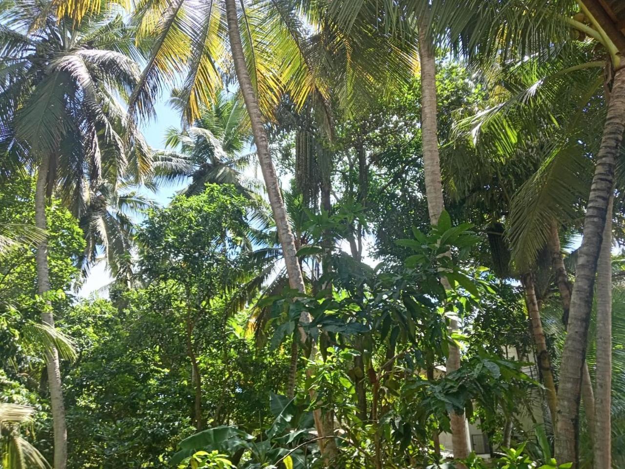 House Homestay Anuradhapura