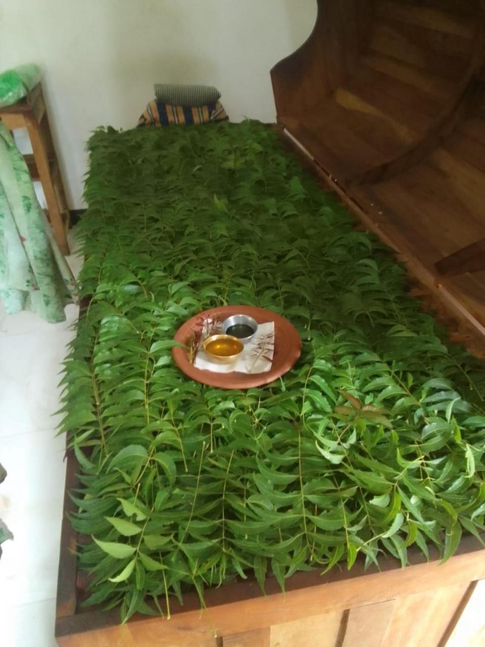 Liyasha Anuradhapura
