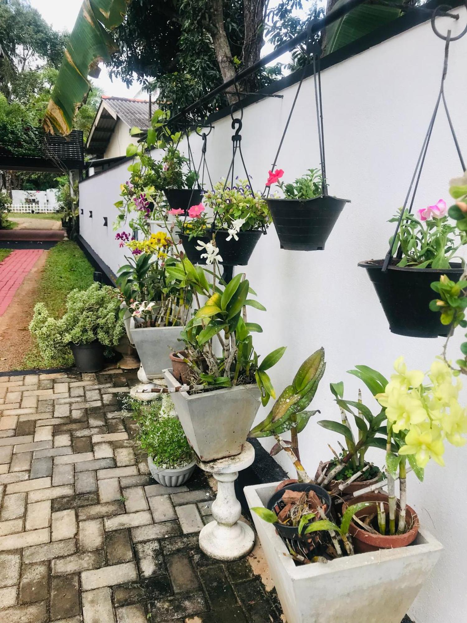 Pinidiya 3* Anuradhapura