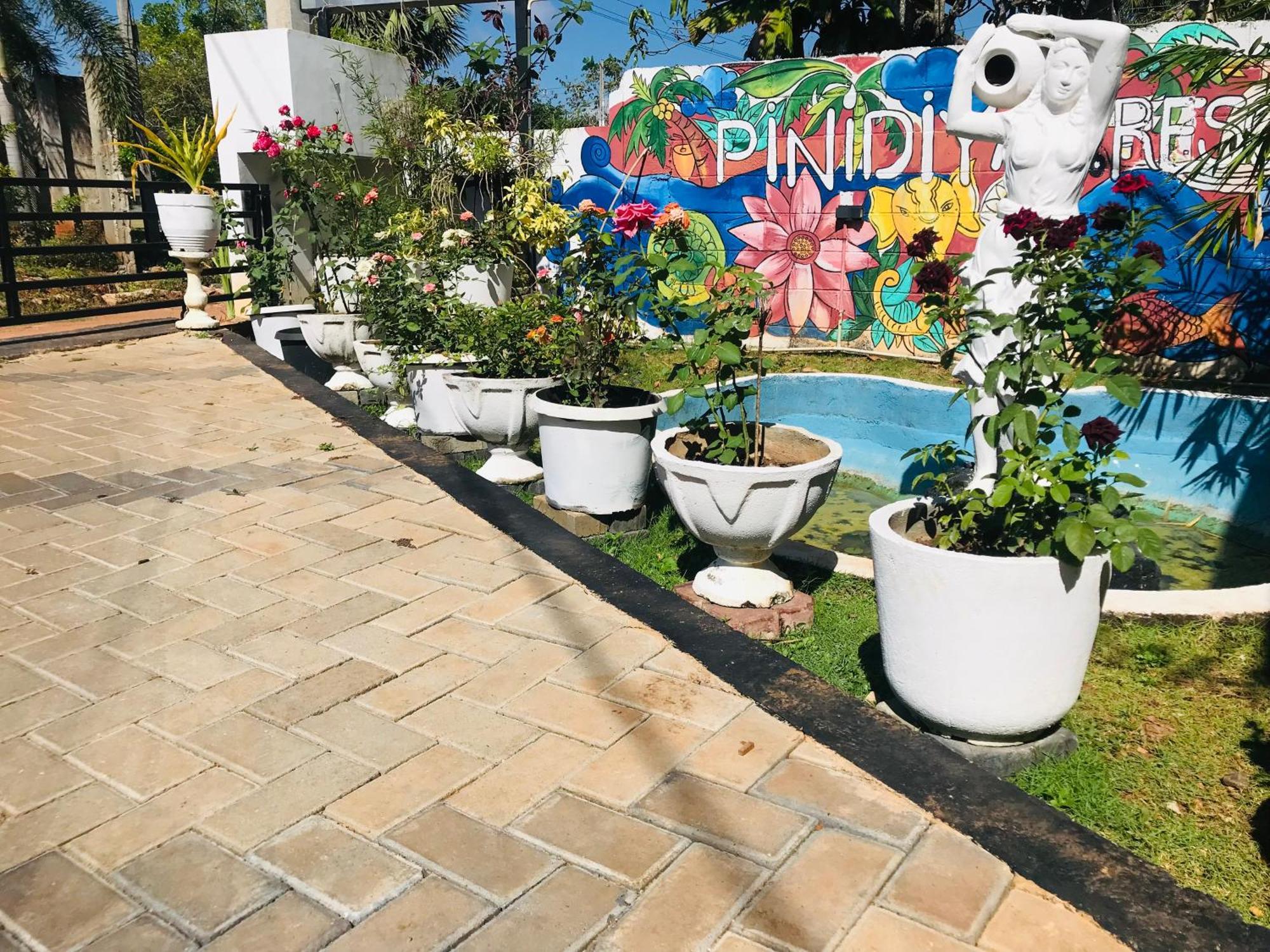 Resort Pinidiya