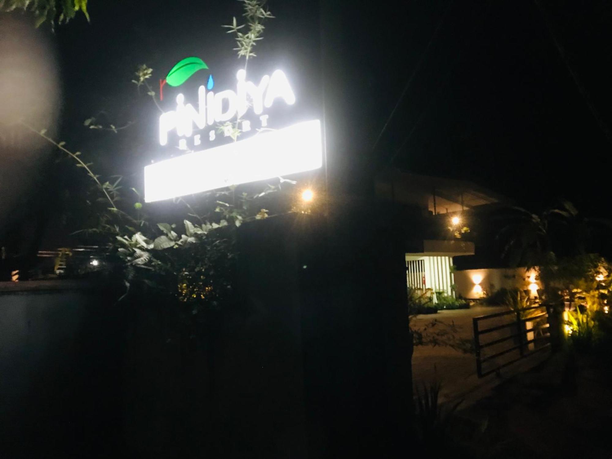 Pinidiya 3*