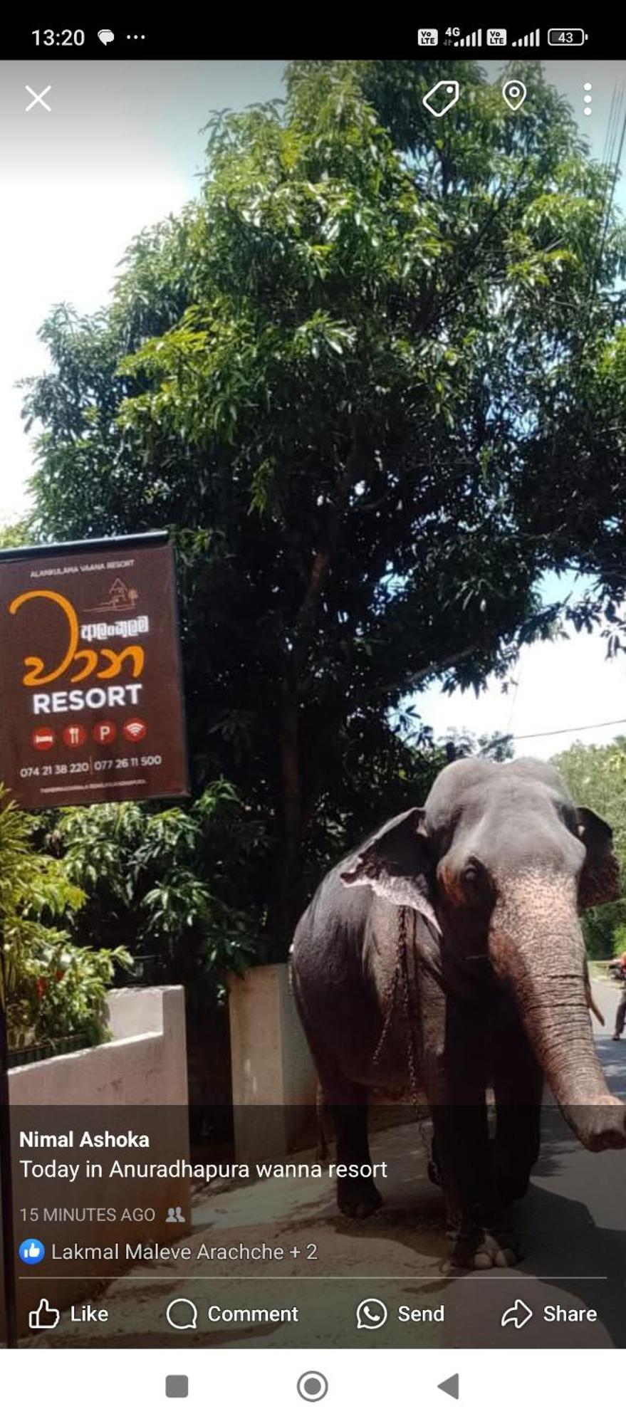 Hotel Alankulama Wana