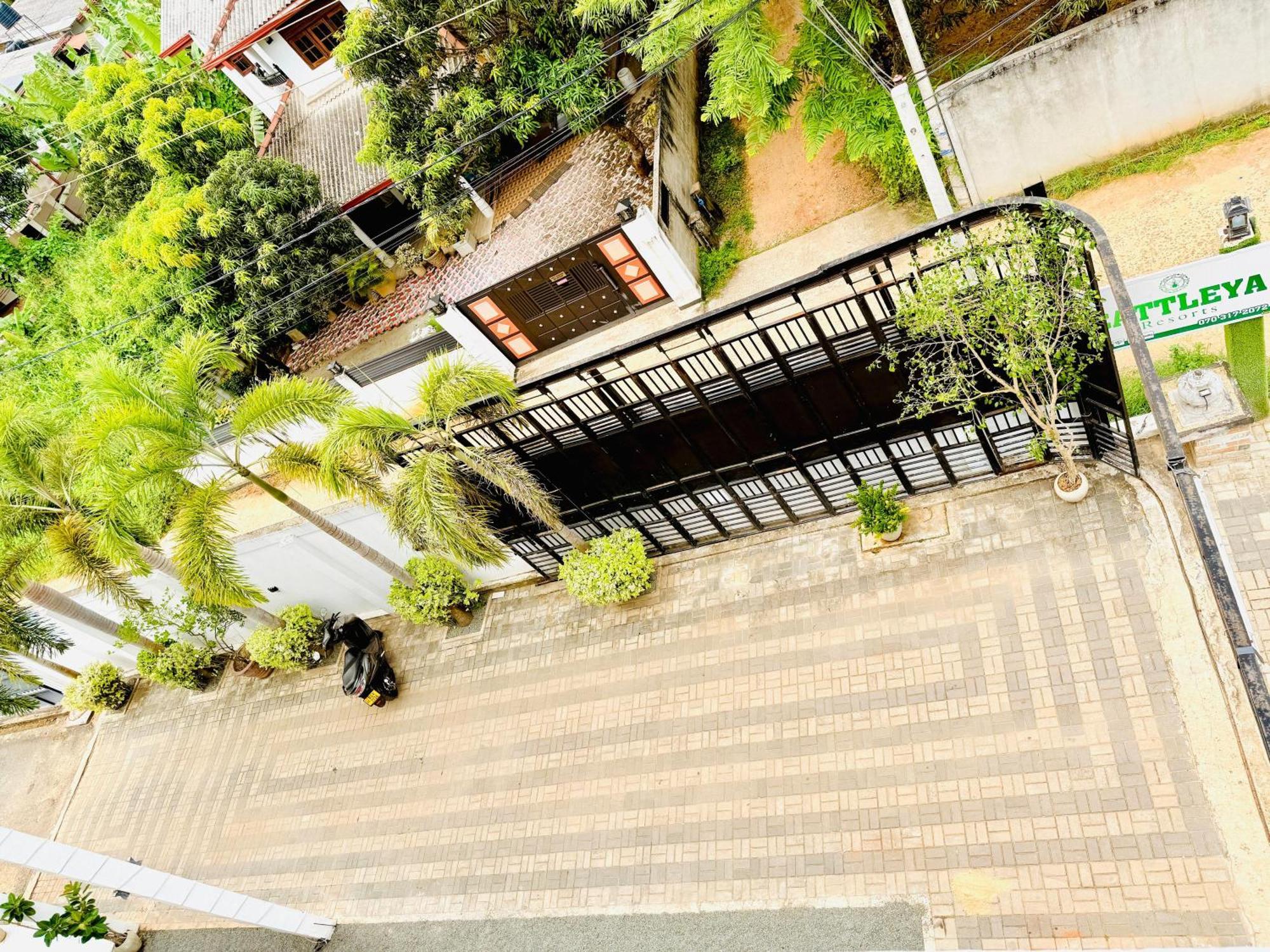 Cattleya 5* Anuradhapura