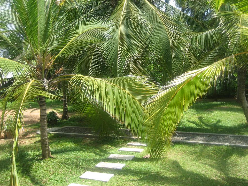 Bed & Breakfast Liyana Anuradhapura