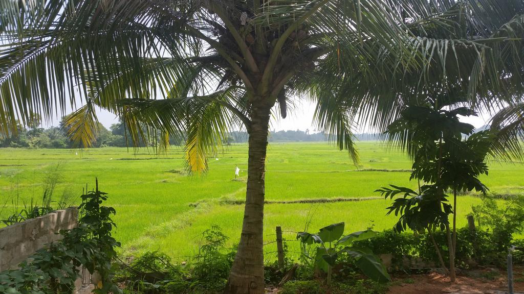 Serene View Tourist Rest *