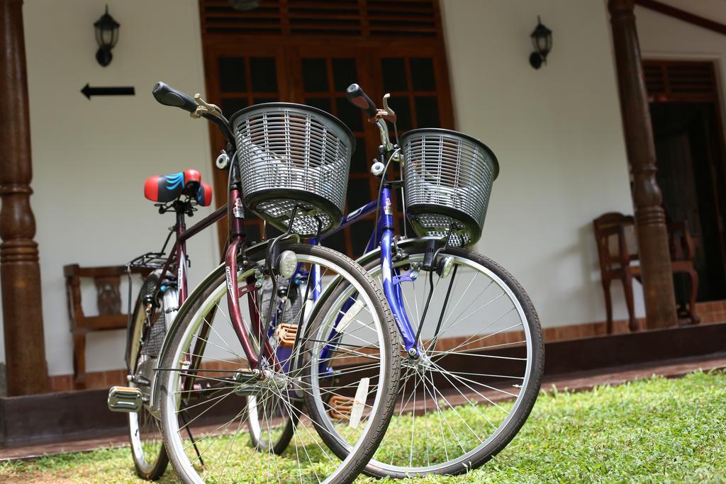 Amsterdam Tourist Rest Bed & Breakfast Anuradhapura