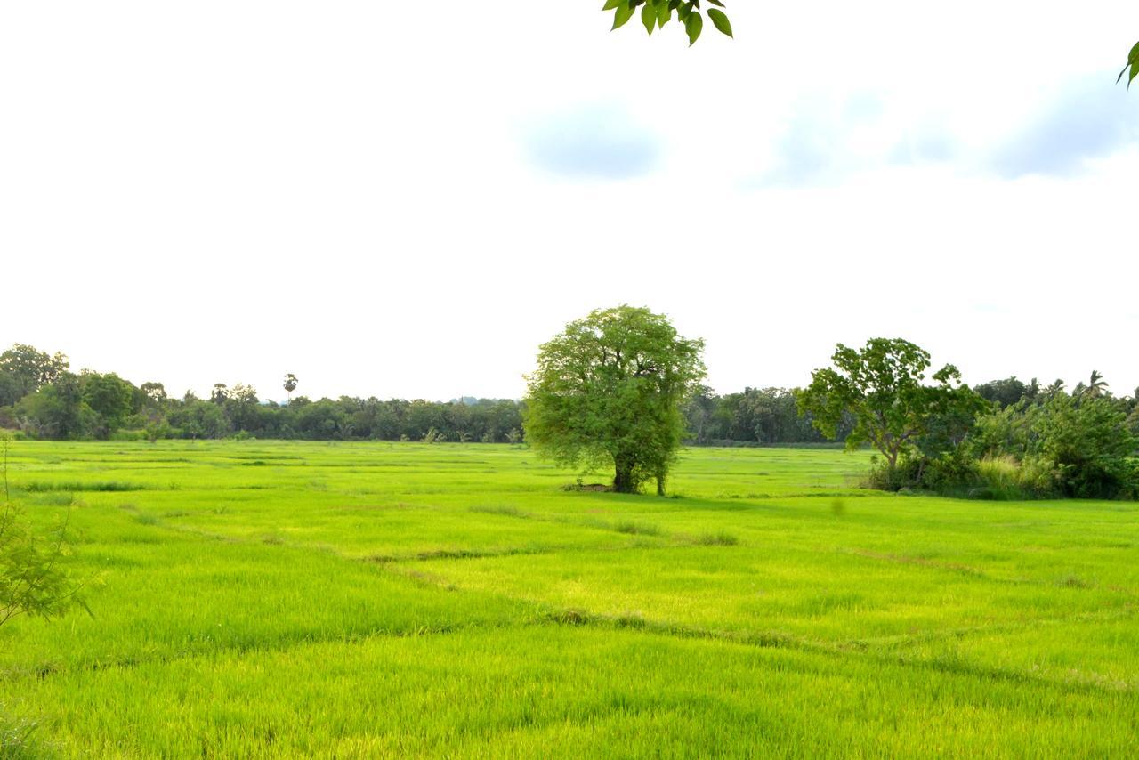 Dulmini Holiday Resort Anuradhapura