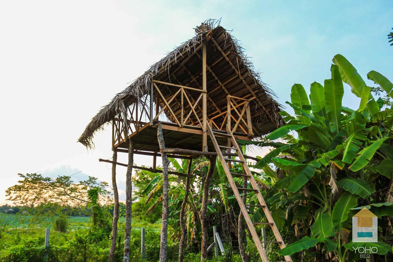 D Family Resort