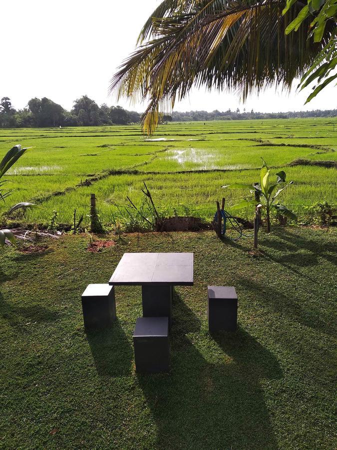 Serene View Tourist Rest Guest house Anuradhapura