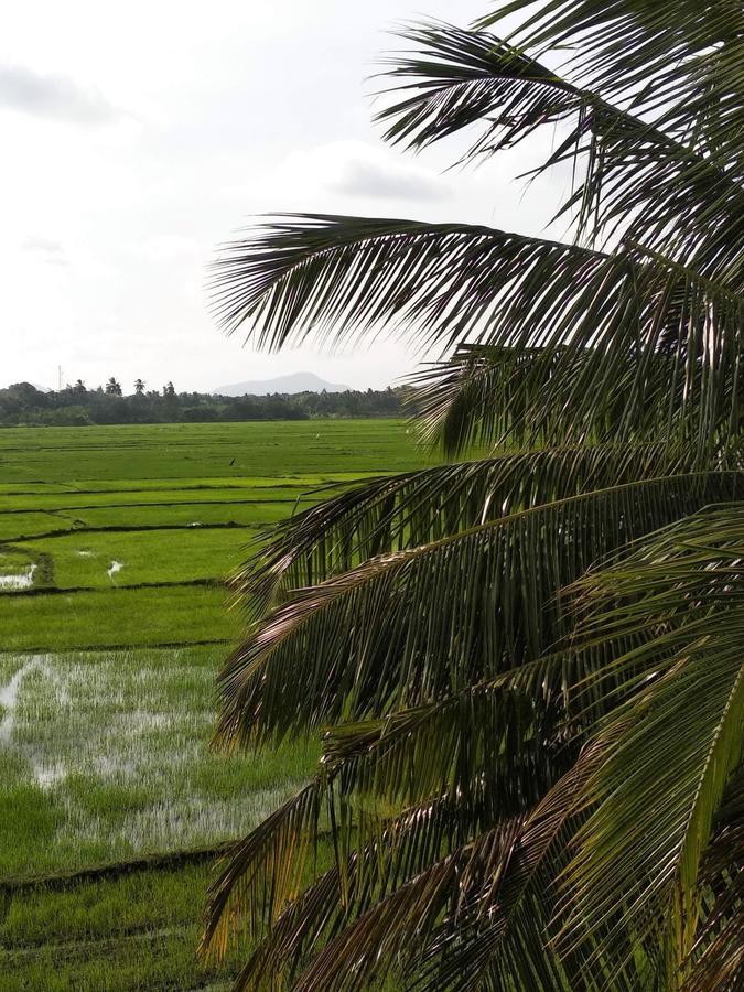 Guest house Serene View Tourist Rest