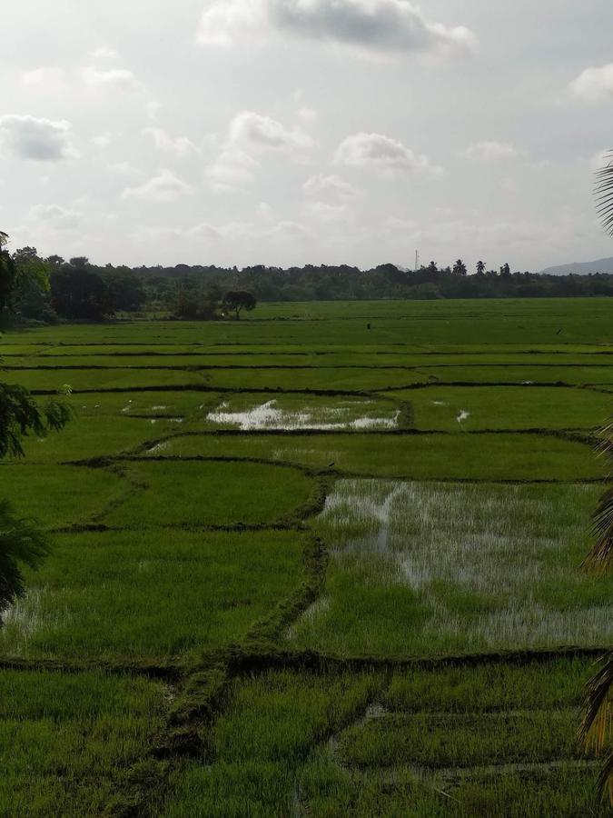 Serene View Tourist Rest *