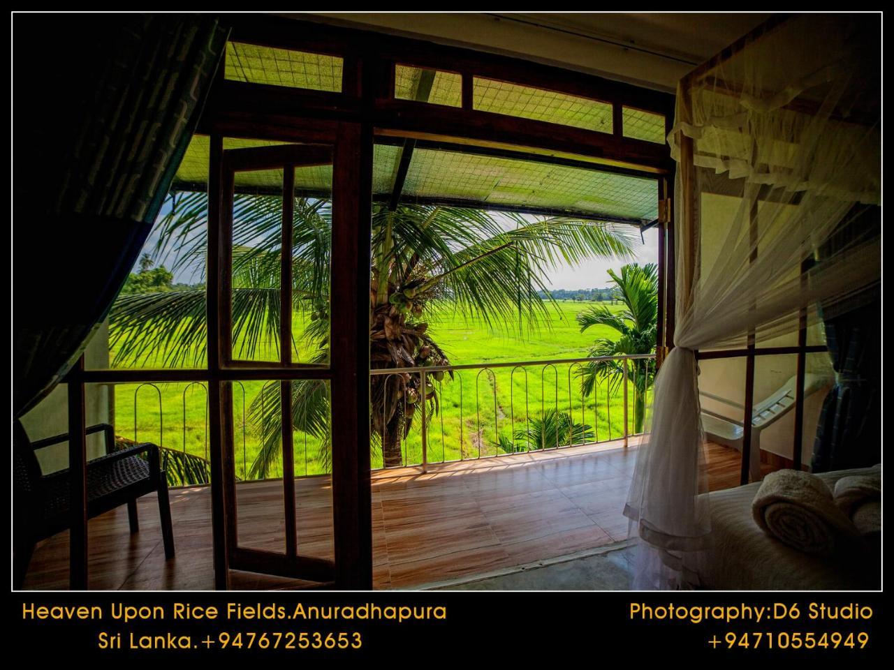 Heaven Upon Rice Fields *
