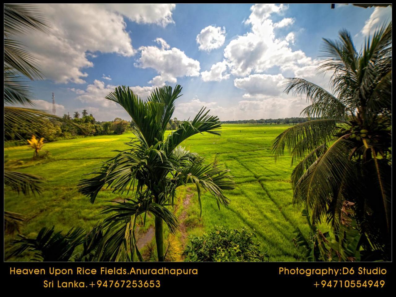 Heaven Upon Rice Fields Bed & Breakfast Anuradhapura