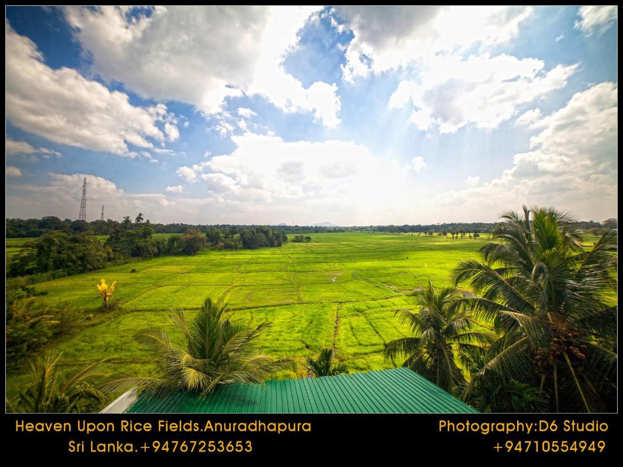 Heaven Upon Rice Fields Bed & Breakfast