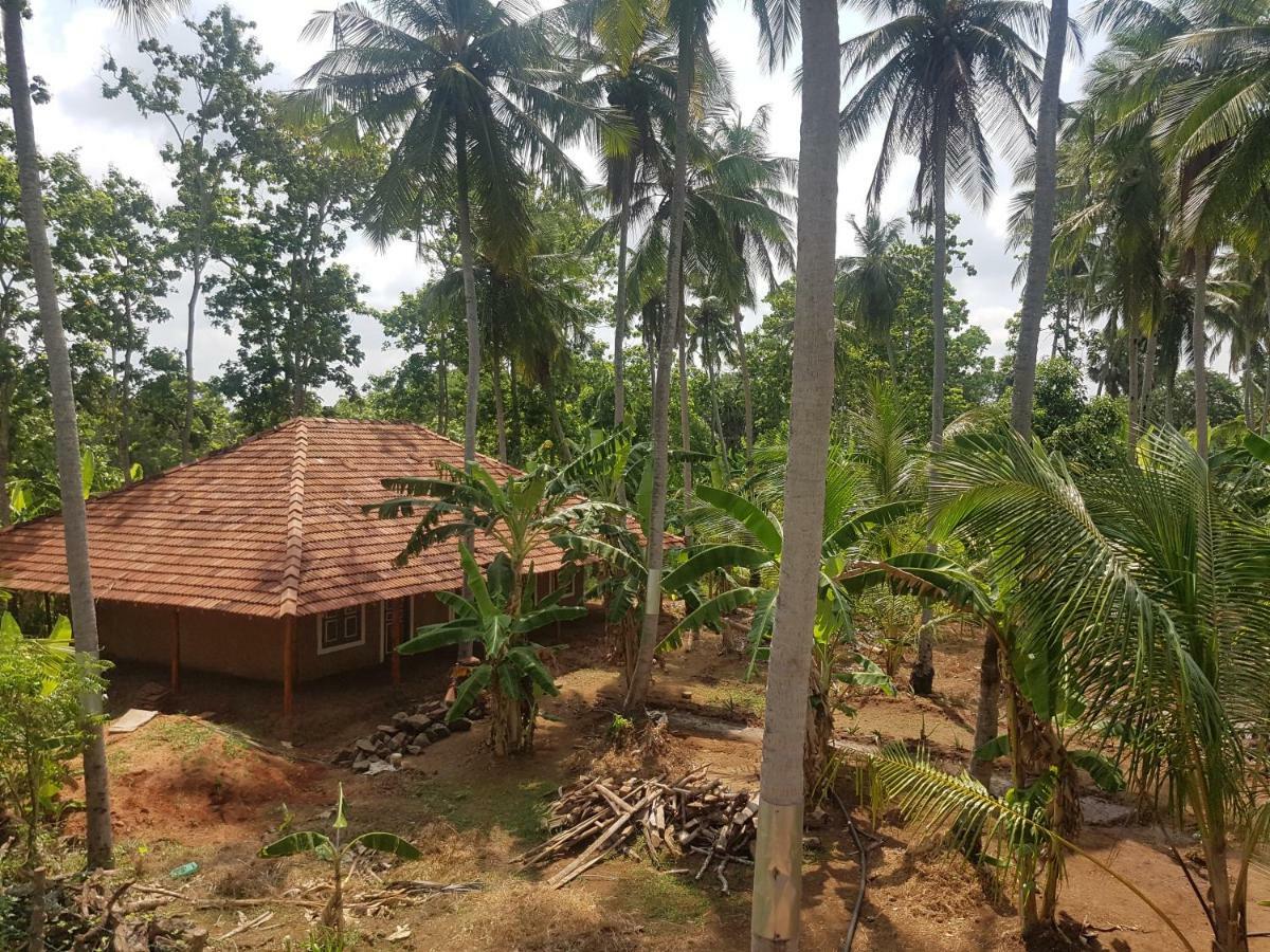 Monara Arana Farm * Anuradhapura