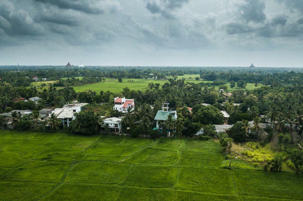 Heaven Upon Rice Fields Bed & Breakfast