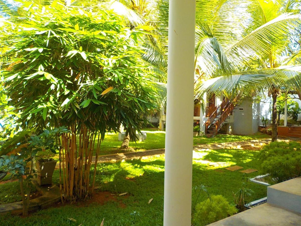 Liyana Anuradhapura