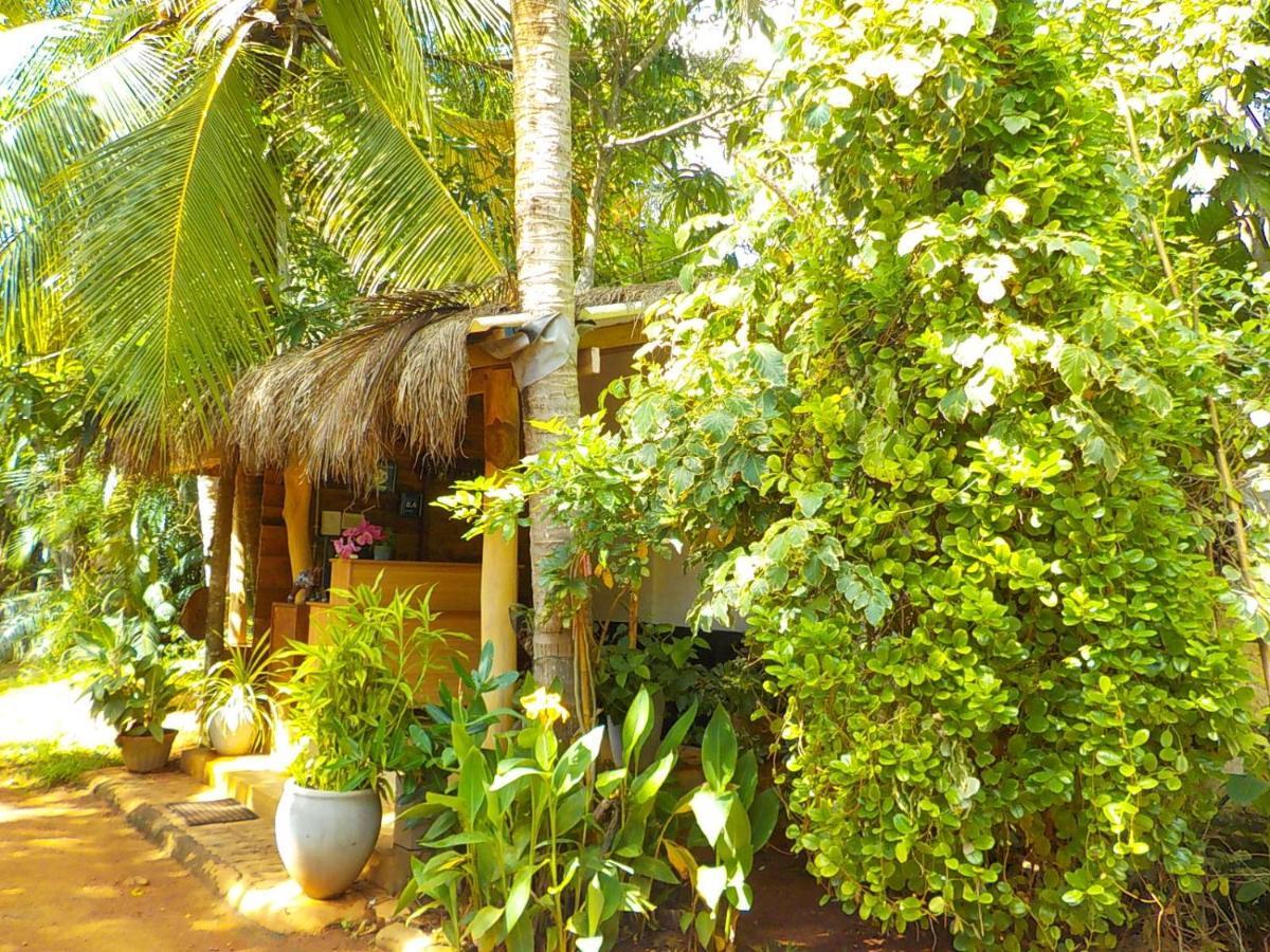 Bed & Breakfast Liyana 2*