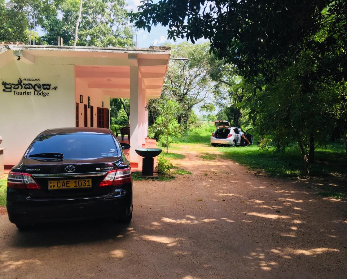 Guest house Punkalasa Tourist