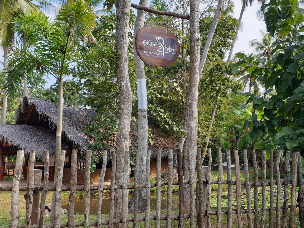 Monara Arana Farm
