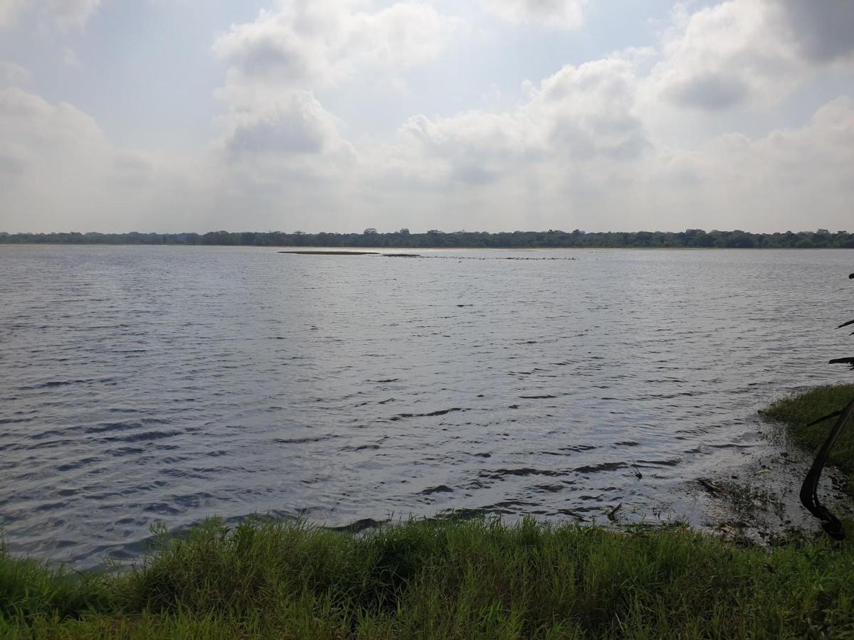 Monara Arana Farm * Anuradhapura
