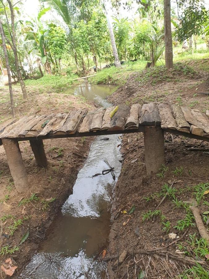 Monara Arana Farm * Anuradhapura