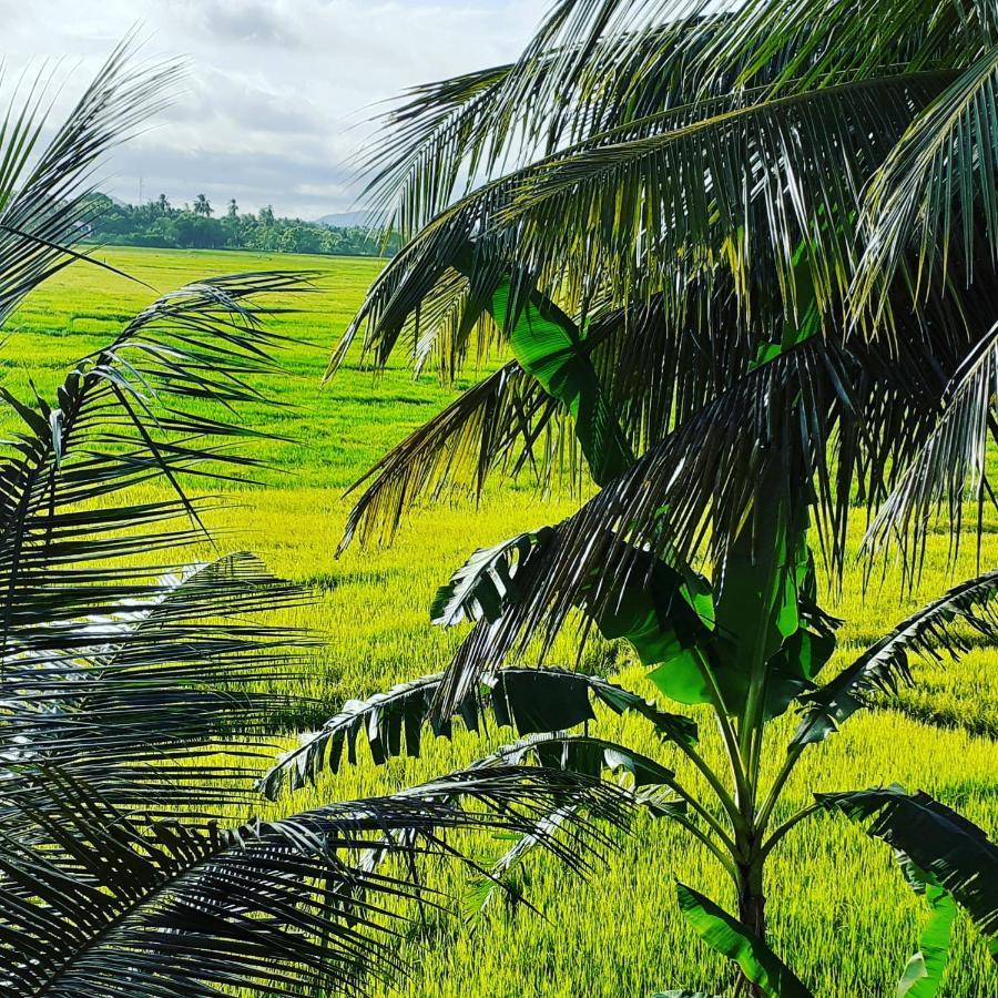 Serene View Tourist Rest * Anuradhapura