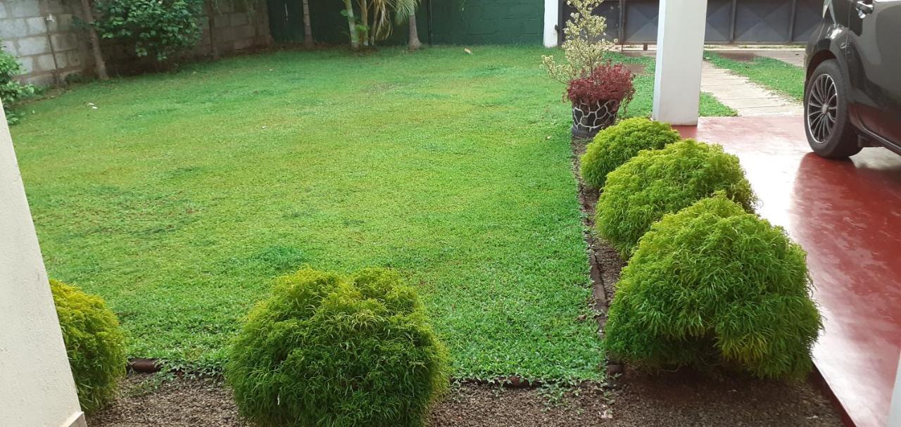 Serene View Tourist Rest Guest house